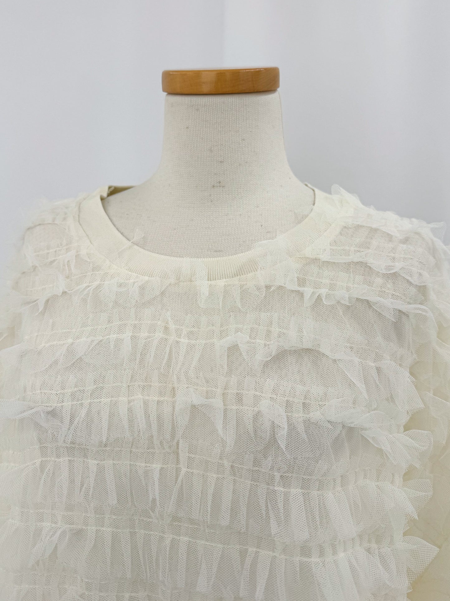 【Official限定】チュールシアートップス