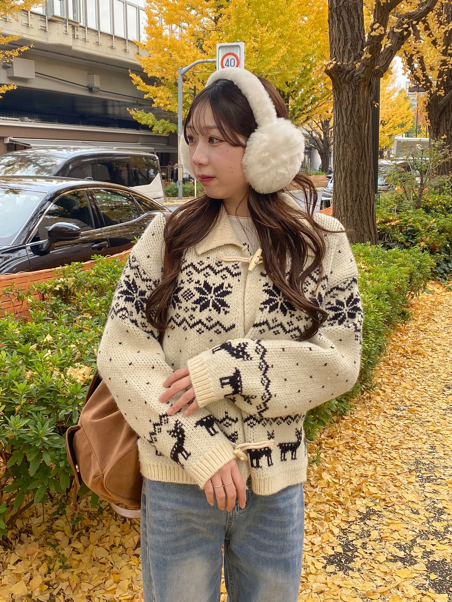 【Official限定】ノルディックジャガードカーディガン