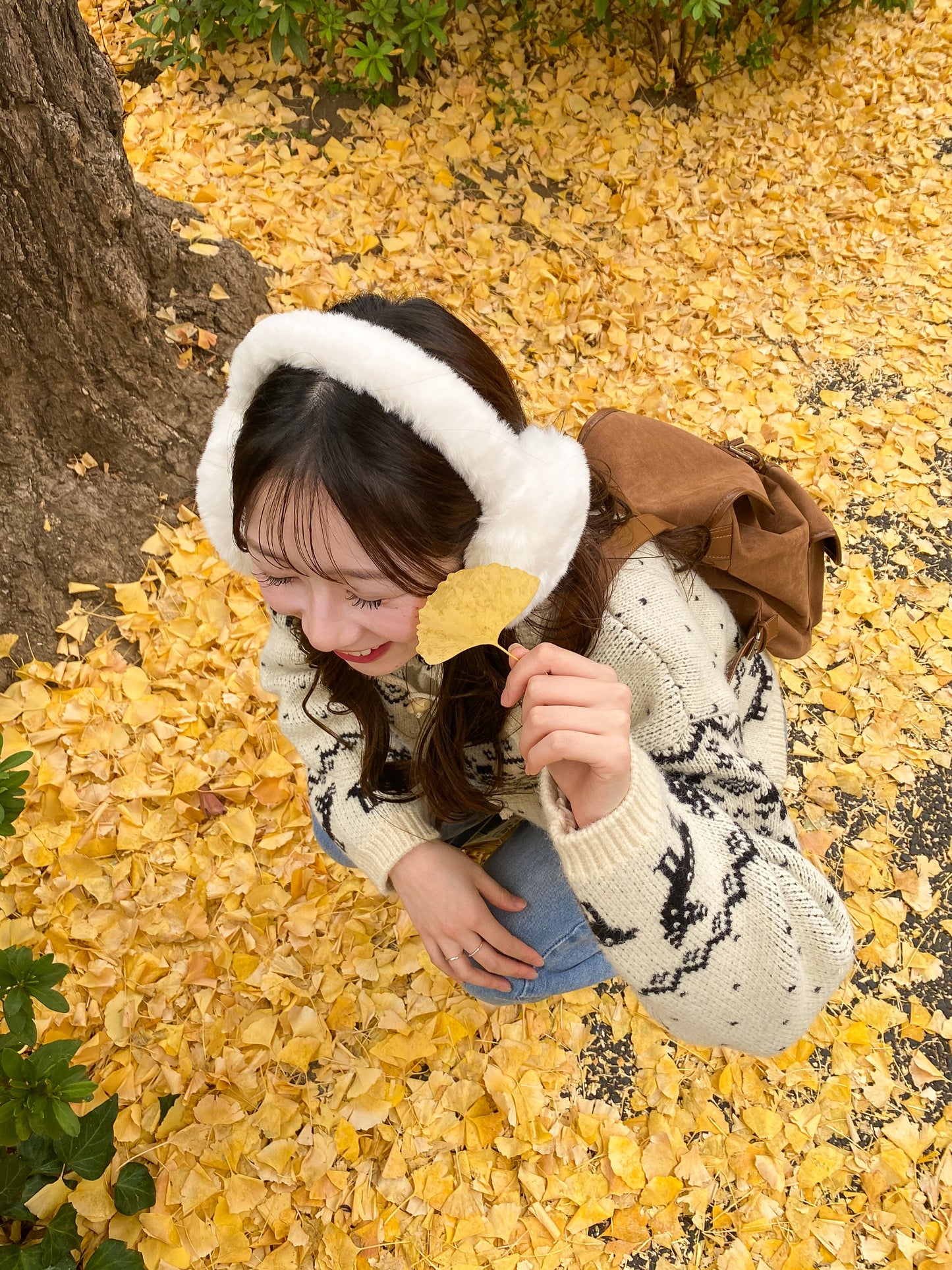 【Official限定】ノルディックジャガードカーディガン